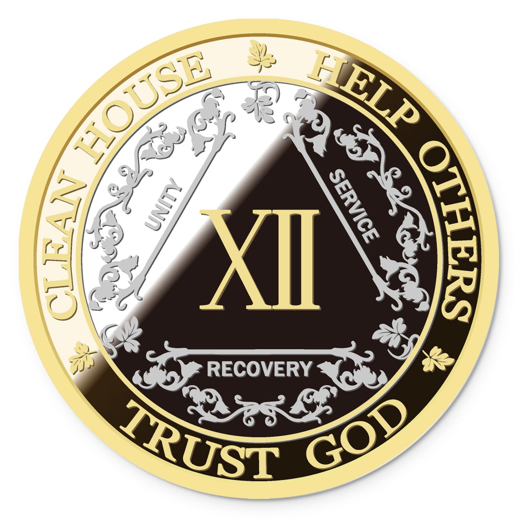 AA Sobriety Coin – Exquisite AA Anniversary Coins Medallions & Chips – The Perfect Sober Gift for AA Recovery and Clean Milestones (Twelve Years)