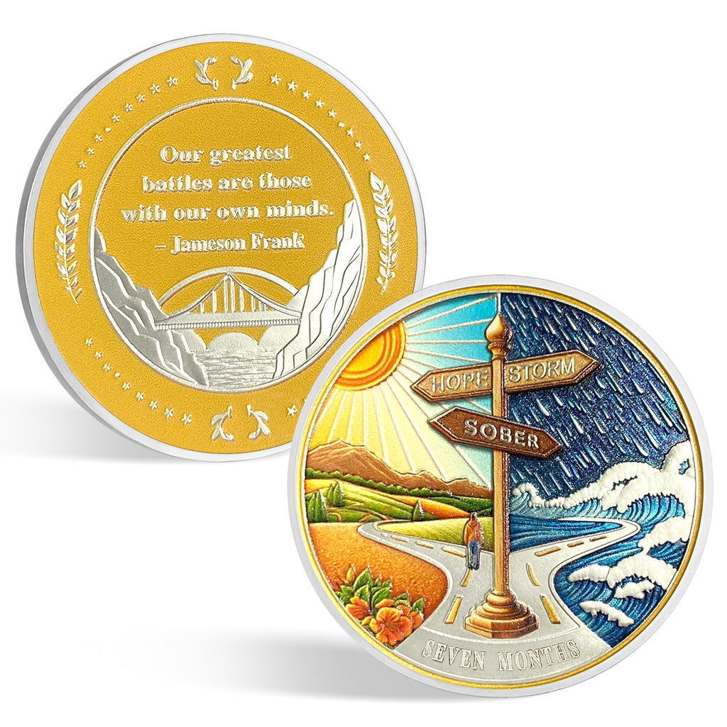 CHURYUML 7 Month Sobriety Coin Original Hope or Storm AA Coins Non-Religious Recovery Medallions Seven Month Sober Chip Sobriety Gifts for Women Men Alcoholics Anonymous Addiction Recovery Gift