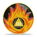 30 Year Sobriety Coin - Alcoholics Anonymous Flame Triangle AA Medallions and Sobriety Chips Recovery Coins with Display Case - Ideal Sobriety Gifts for Men & Women Celebrating AA and NA Recovery